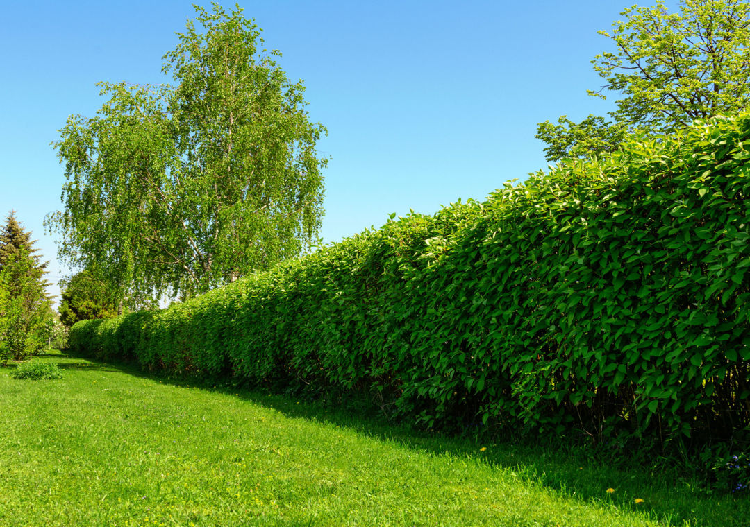 realbuerohagen-news-hecke realbuerohagen-news-hecke