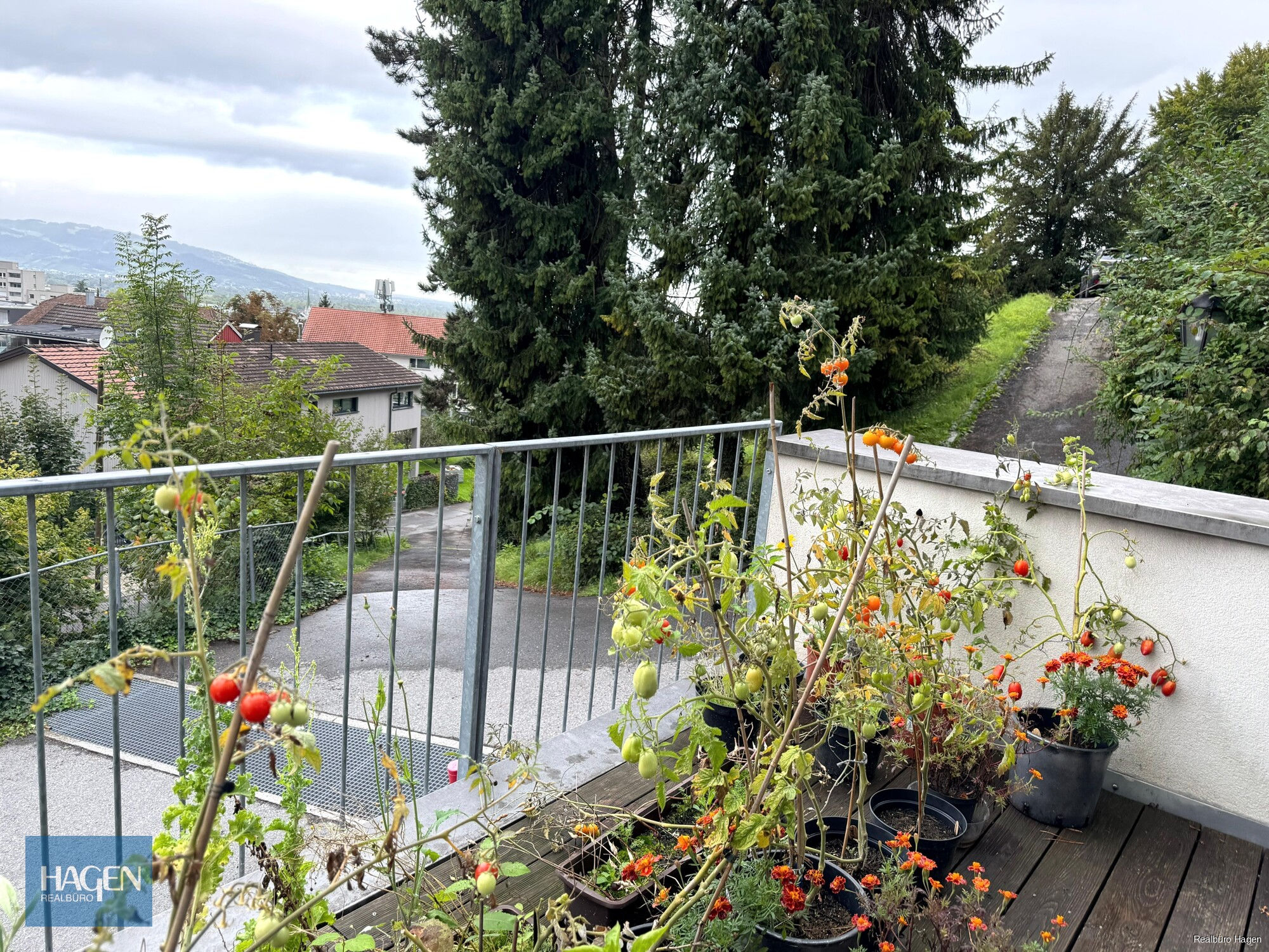Aussicht