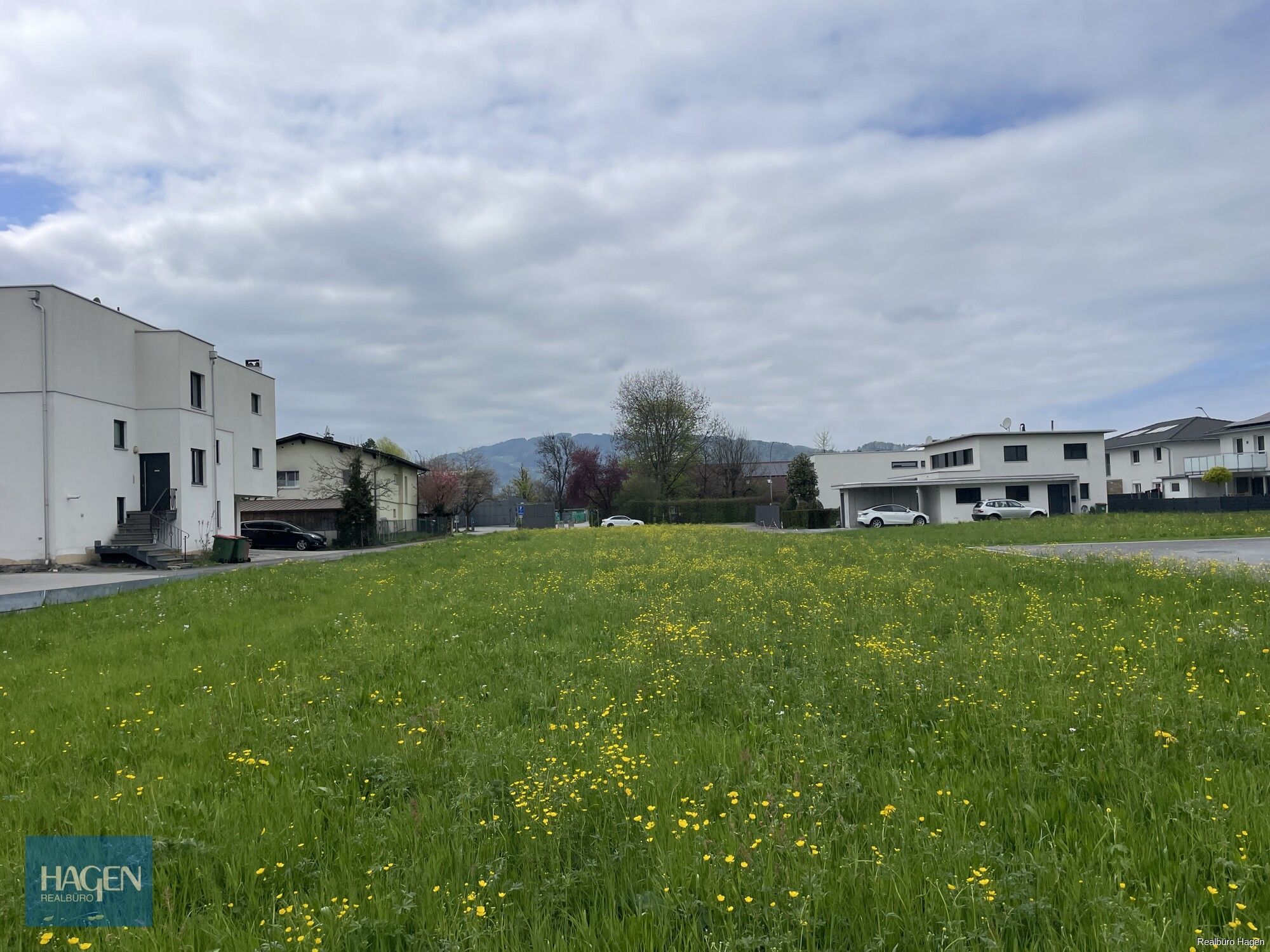 Westansicht