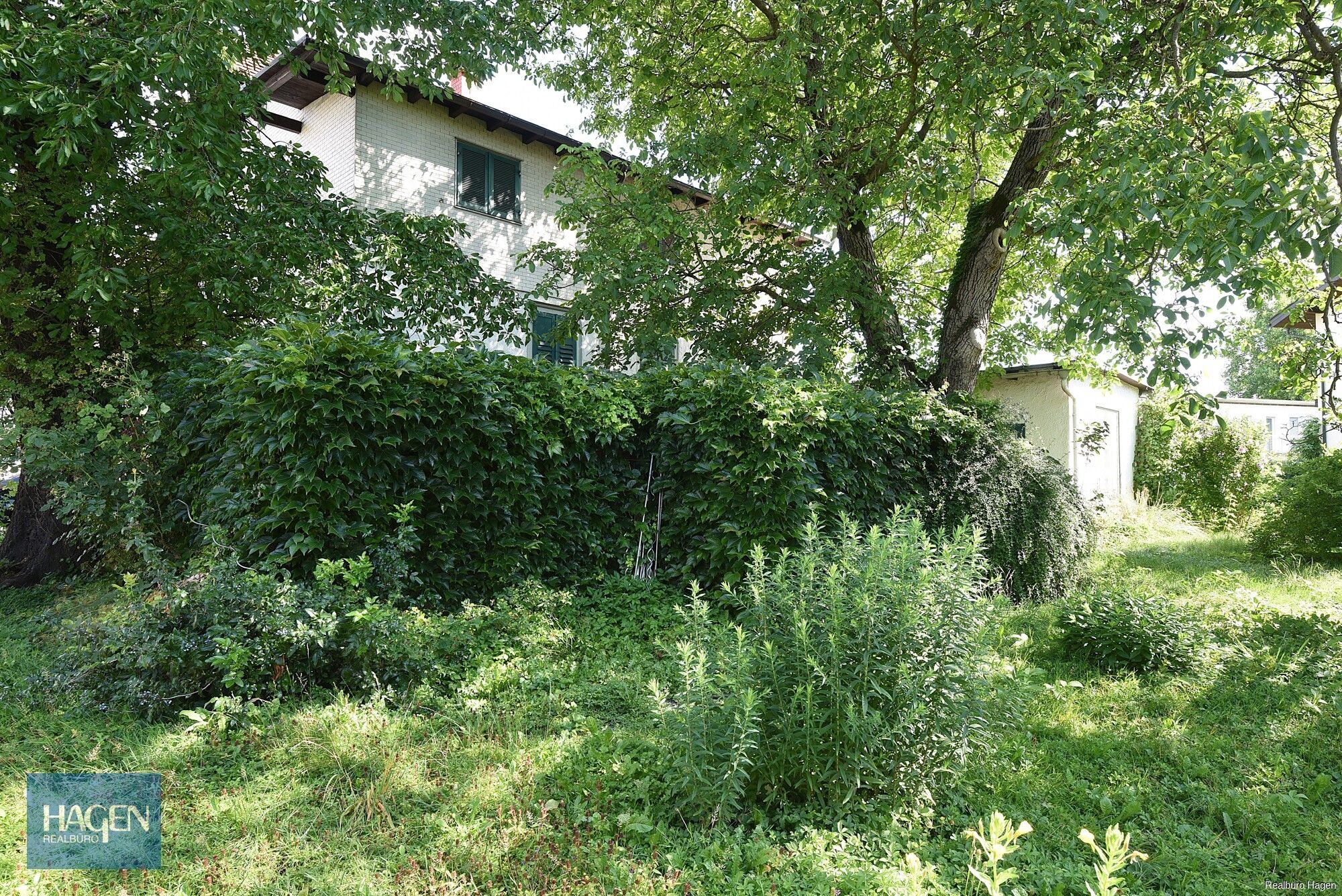 Aussenansicht R&uuml;ckseite 