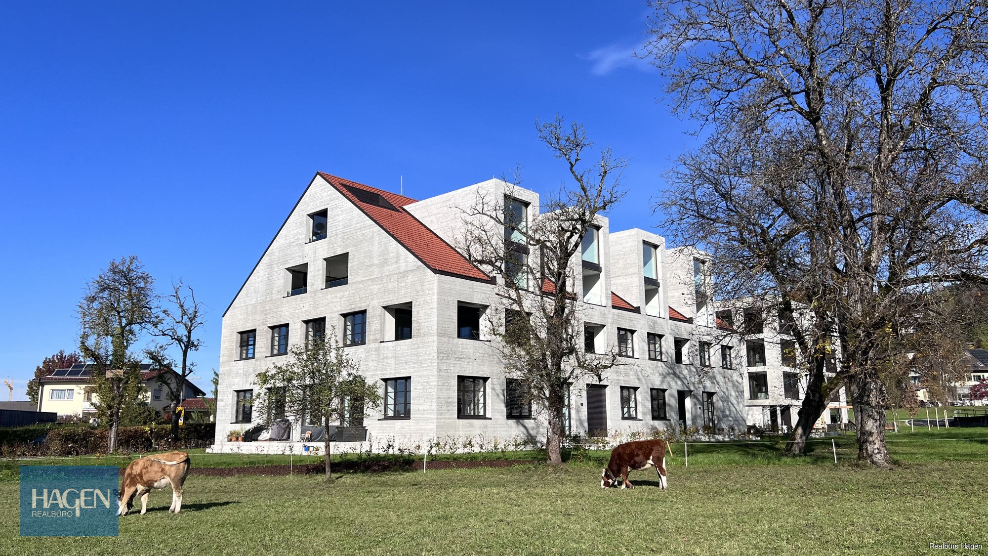 Außenansicht Außenansicht