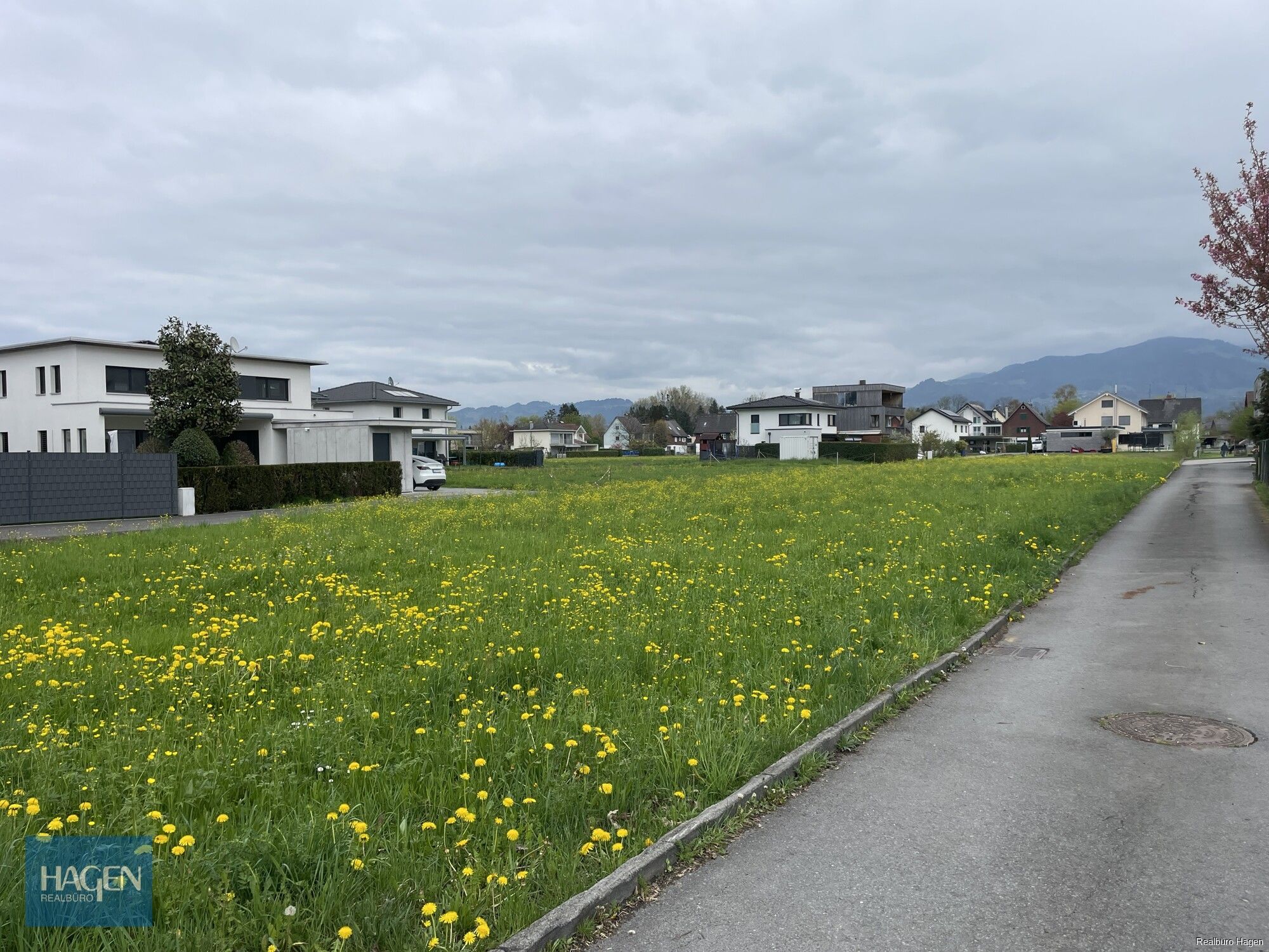 Ostansicht