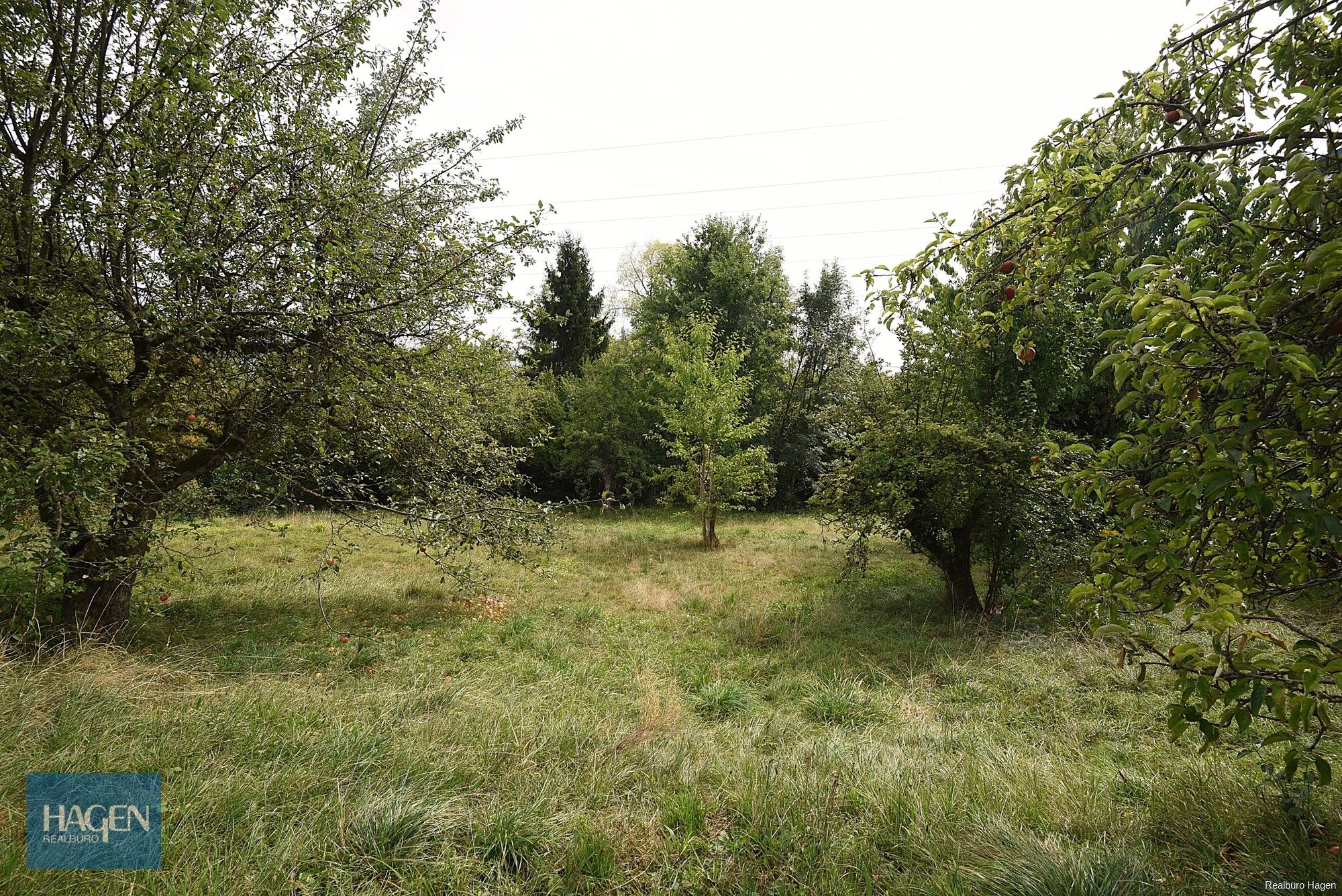 Au&szlig;enansicht_4