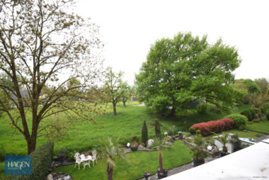 Ausblick